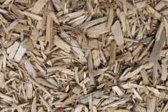 biomass boilers Treeton