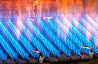 Treeton gas fired boilers